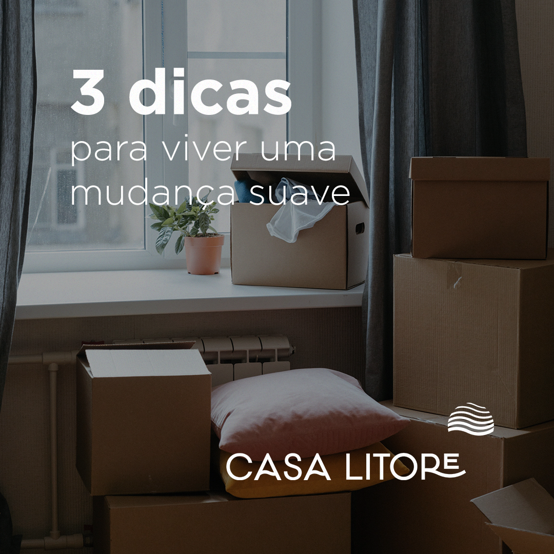 Imagem 11